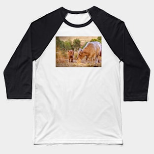 Mother and Daughter, Galloway Cows, Kanmantoo, Adelaide Hllls, SA Baseball T-Shirt